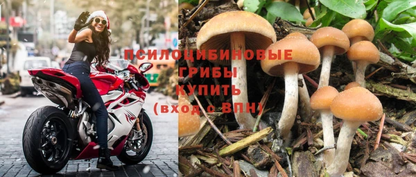 прущие грибы Навашино
