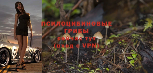 крисы Наволоки