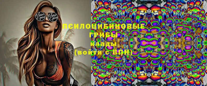 Псилоцибиновые грибы мицелий  Конаково 