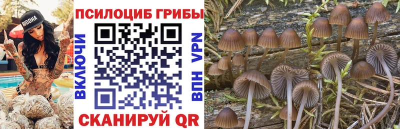 Галлюциногенные грибы Magic Shrooms Конаково