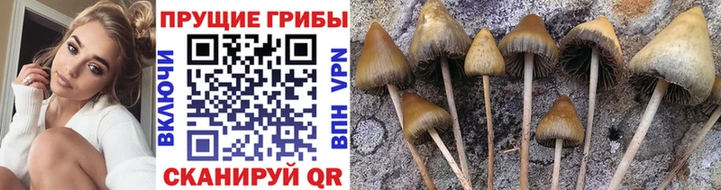 хочу shop Telegram Псилоцибиновые грибы ЛСД Конаково