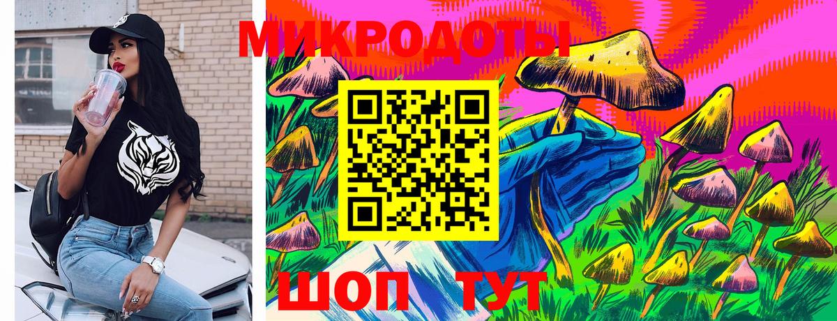 Псилоцибиновые грибы MAGIC MUSHROOMS  купить закладку  Конаково 